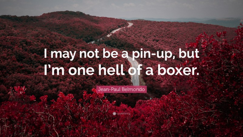 Jean-Paul Belmondo Quote: “I may not be a pin-up, but I’m one hell of a boxer.”