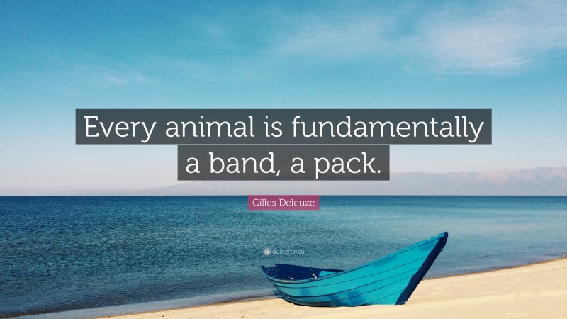 Gilles Deleuze Quote: “Every animal is fundamentally a band, a pack.”