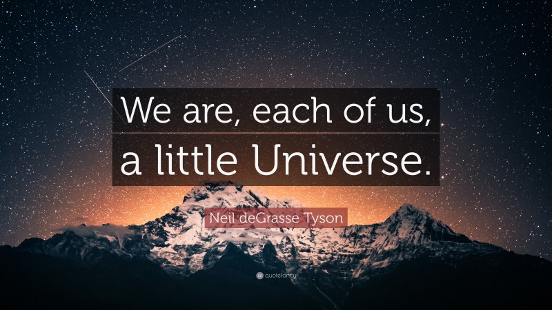 Neil deGrasse Tyson Quote: “We are, each of us, a little Universe.”