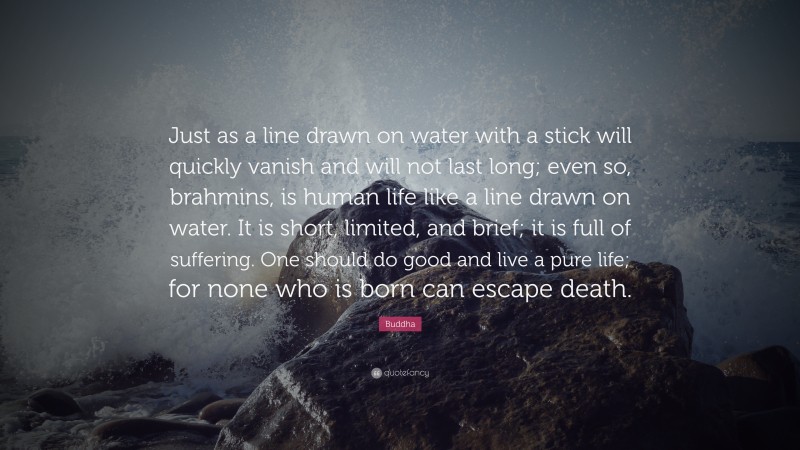 Buddha Quote: “Just as a line drawn on water with a stick will quickly vanish and will not last long; even so, brahmins, is human life like a line drawn on water. It is short, limited, and brief; it is full of suffering. One should do good and live a pure life; for none who is born can escape death.”
