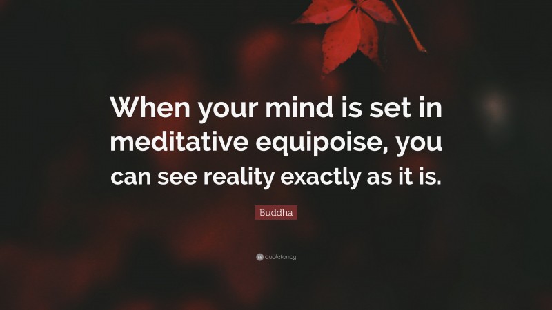 Buddha Quote: “When your mind is set in meditative equipoise, you can see reality exactly as it is.”