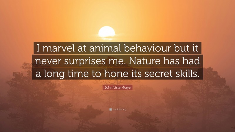 John Lister-Kaye Quote: “I marvel at animal behaviour but it never surprises me. Nature has had a long time to hone its secret skills.”