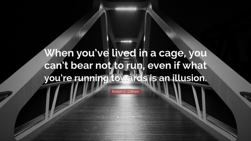 Robert C. O'Brien Quote: “When you’ve lived in a cage, you can’t bear not to run, even if what you’re running towards is an illusion.”