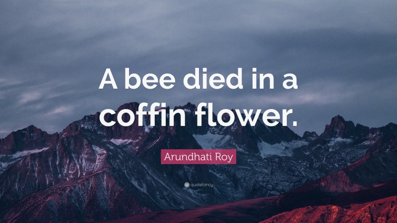 Arundhati Roy Quote: “A bee died in a coffin flower.”