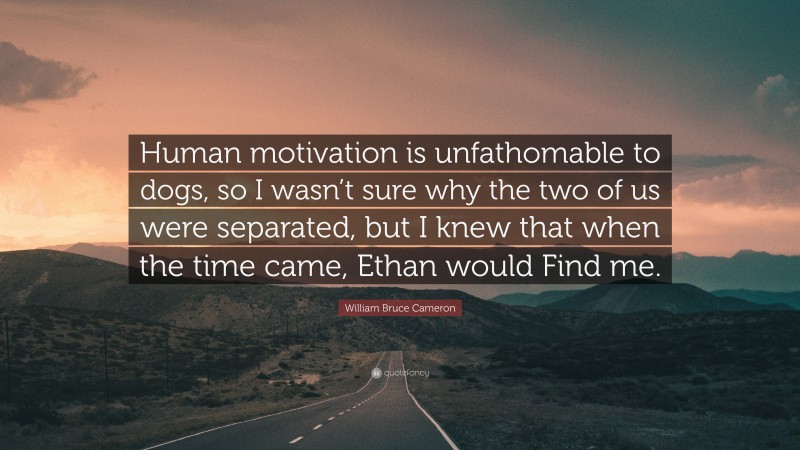 William Bruce Cameron Quote: “Human motivation is unfathomable to dogs, so I wasn’t sure why the two of us were separated, but I knew that when the time came, Ethan would Find me.”