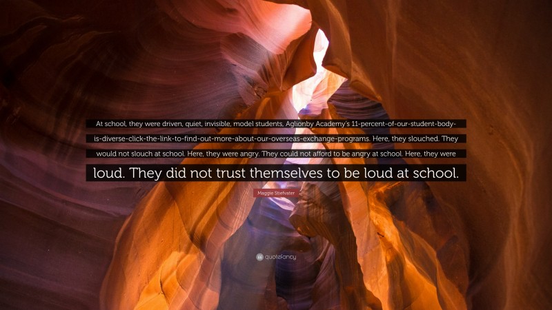 Maggie Stiefvater Quote: “At school, they were driven, quiet, invisible, model students, Aglionby Academy’s 11-percent-of-our-student-body-is-diverse-click-the-link-to-find-out-more-about-our-overseas-exchange-programs. Here, they slouched. They would not slouch at school. Here, they were angry. They could not afford to be angry at school. Here, they were loud. They did not trust themselves to be loud at school.”