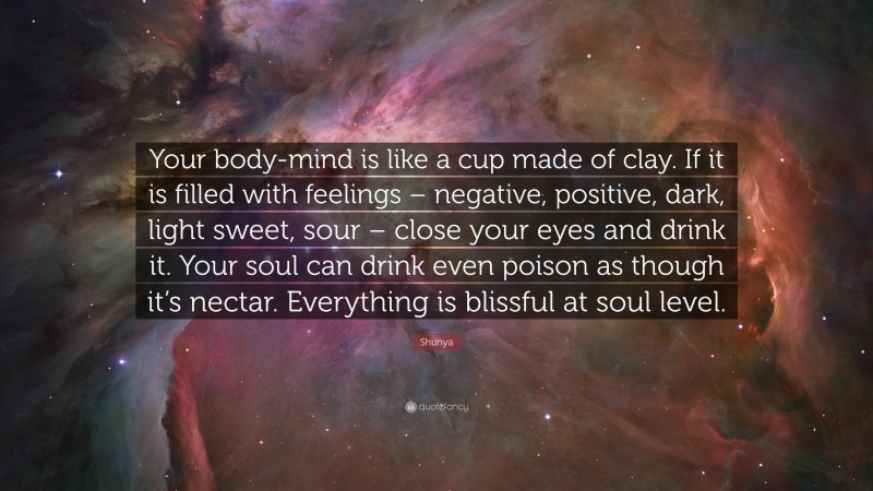 Shunya Quote: “Your body-mind is like a cup made of clay. If it is filled with feelings – negative, positive, dark, light sweet, sour – close your eyes and drink it. Your soul can drink even poison as though it’s nectar. Everything is blissful at soul level.”