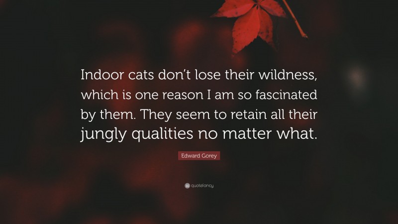 Edward Gorey Quote: “Indoor cats don’t lose their wildness, which is one reason I am so fascinated by them. They seem to retain all their jungly qualities no matter what.”