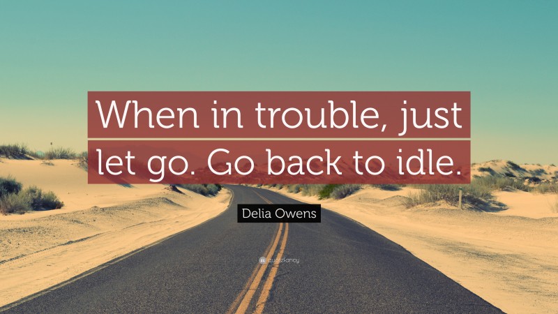 Delia Owens Quote: “When in trouble, just let go. Go back to idle.”