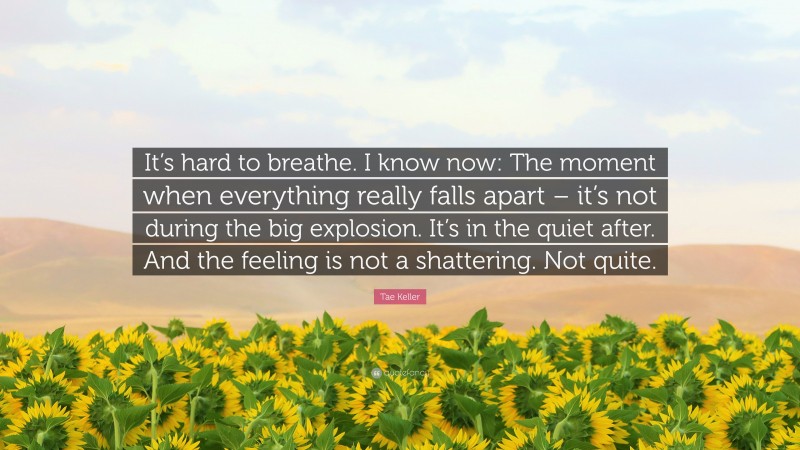 Tae Keller Quote: “It’s hard to breathe. I know now: The moment when everything really falls apart – it’s not during the big explosion. It’s in the quiet after. And the feeling is not a shattering. Not quite.”