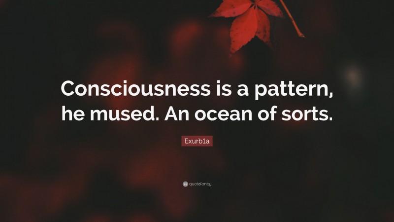 Exurb1a Quote: “Consciousness is a pattern, he mused. An ocean of sorts.”