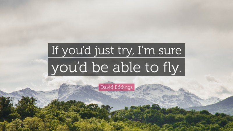 David Eddings Quote: “If you’d just try, I’m sure you’d be able to fly.”