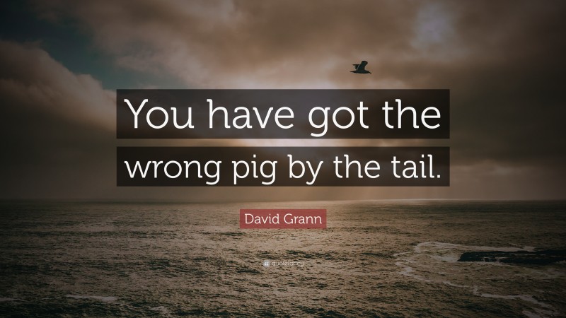David Grann Quote: “You have got the wrong pig by the tail.”