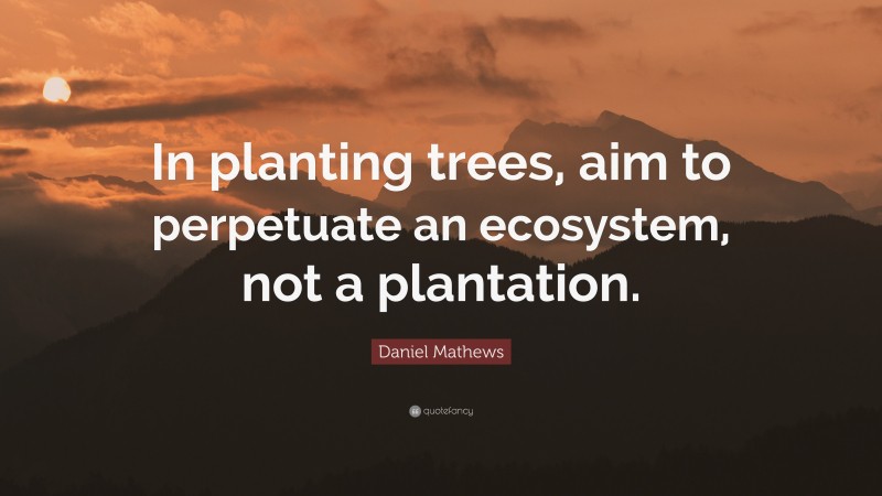 Daniel Mathews Quote: “In planting trees, aim to perpetuate an ecosystem, not a plantation.”