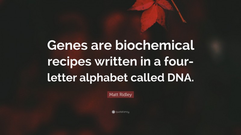 Matt Ridley Quote: “Genes are biochemical recipes written in a four-letter alphabet called DNA.”
