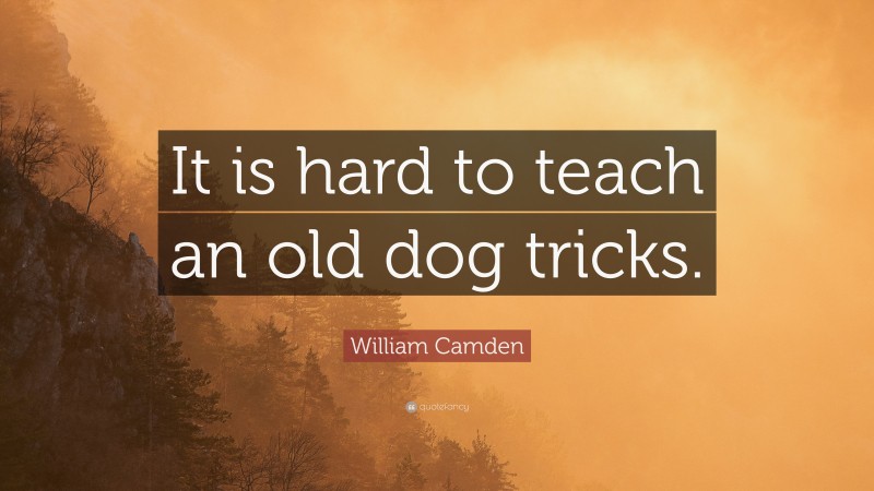 William Camden Quote: “It is hard to teach an old dog tricks.”