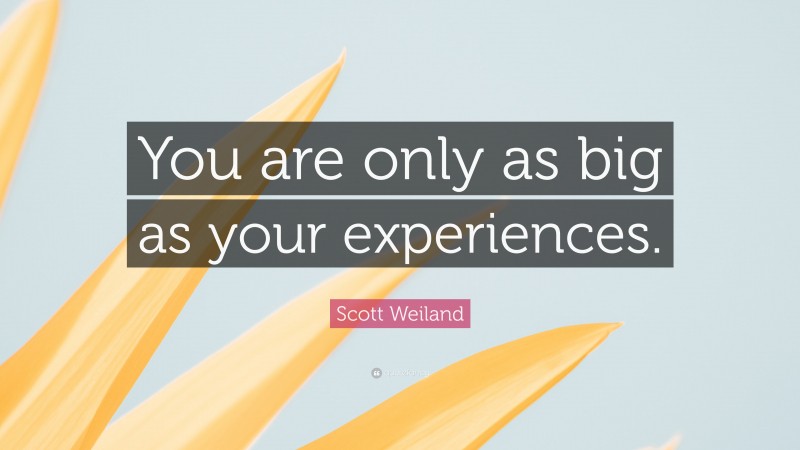 Scott Weiland Quote: “You are only as big as your experiences.”