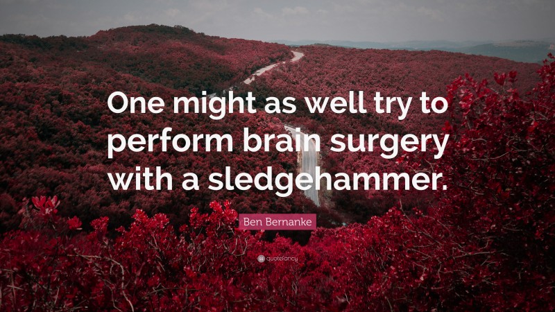 Ben Bernanke Quote: “One might as well try to perform brain surgery with a sledgehammer.”