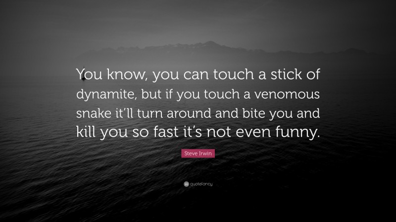 Steve Irwin Quote: “You know, you can touch a stick of dynamite, but if you touch a venomous snake it’ll turn around and bite you and kill you so fast it’s not even funny.”