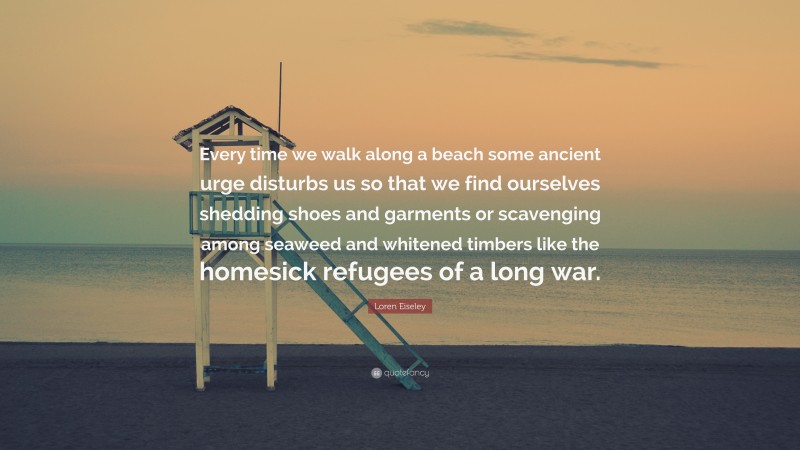 Loren Eiseley Quote: “Every time we walk along a beach some ancient urge disturbs us so that we find ourselves shedding shoes and garments or scavenging among seaweed and whitened timbers like the homesick refugees of a long war.”