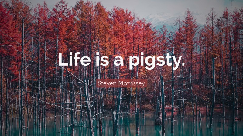 Steven Morrissey Quote: “Life is a pigsty.”