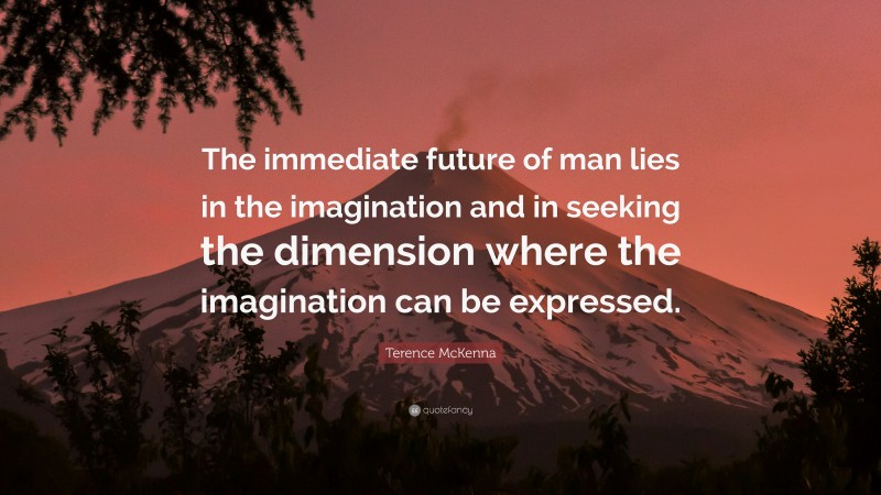 Terence McKenna Quote: “The immediate future of man lies in the imagination and in seeking the dimension where the imagination can be expressed.”