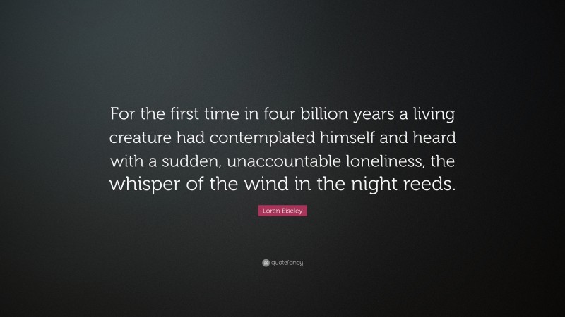 Loren Eiseley Quote: “For the first time in four billion years a living creature had contemplated himself and heard with a sudden, unaccountable loneliness, the whisper of the wind in the night reeds.”