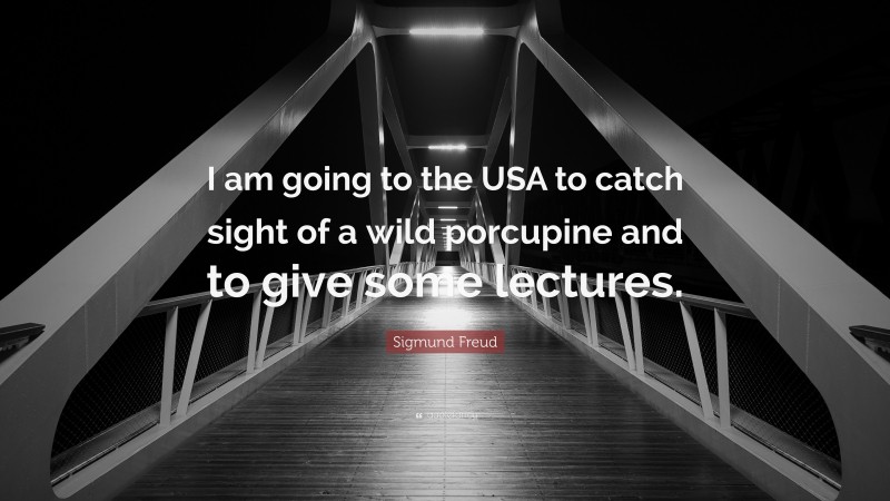 Sigmund Freud Quote: “I am going to the USA to catch sight of a wild porcupine and to give some lectures.”