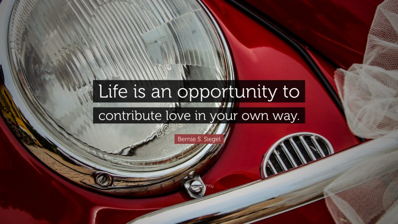 Bernie S. Siegel Quote: “Life is an opportunity to contribute love in your own way.”