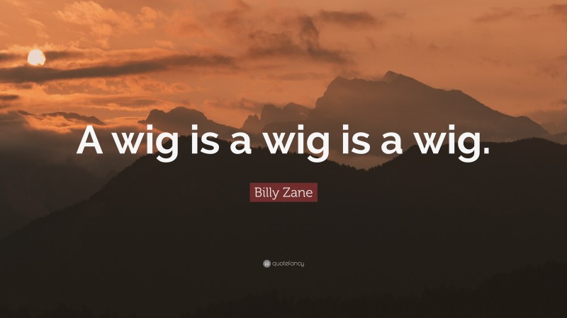 Billy Zane Quote: “A wig is a wig is a wig.”