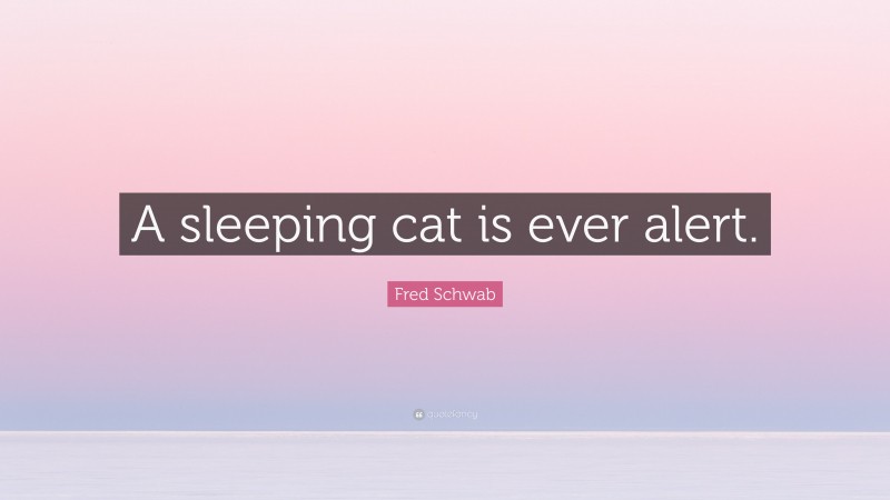 Fred Schwab Quote: “A sleeping cat is ever alert.”