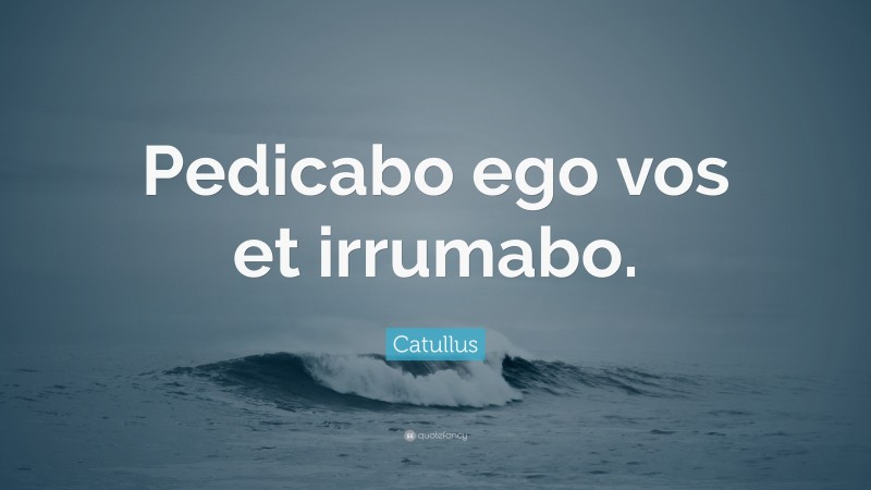 Catullus Quote: “Pedicabo ego vos et irrumabo.”
