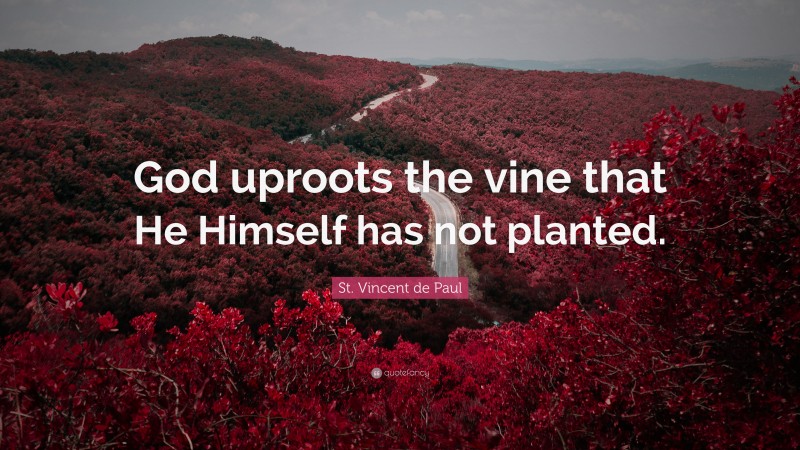 St. Vincent de Paul Quote: “God uproots the vine that He Himself has not planted.”
