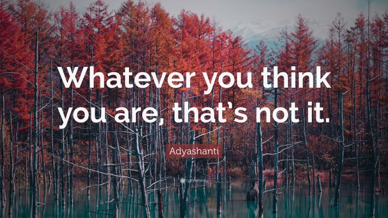 Adyashanti Quote: “Whatever you think you are, that’s not it.”