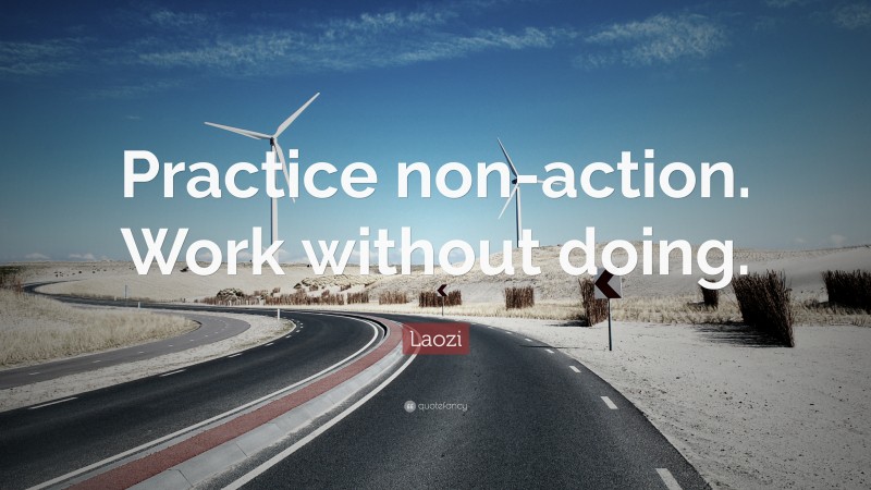Laozi Quote: “Practice non-action. Work without doing.”