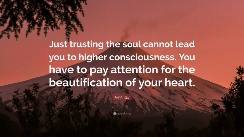 Amit Ray Quote: “Just trusting the soul cannot lead you to higher consciousness. You have to pay attention for the beautification of your heart.”