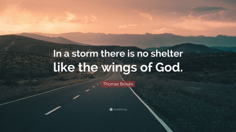 Thomas Brooks Quote: “In a storm there is no shelter like the wings of God.”