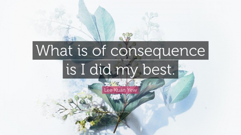 Lee Kuan Yew Quote: “What is of consequence is I did my best.”