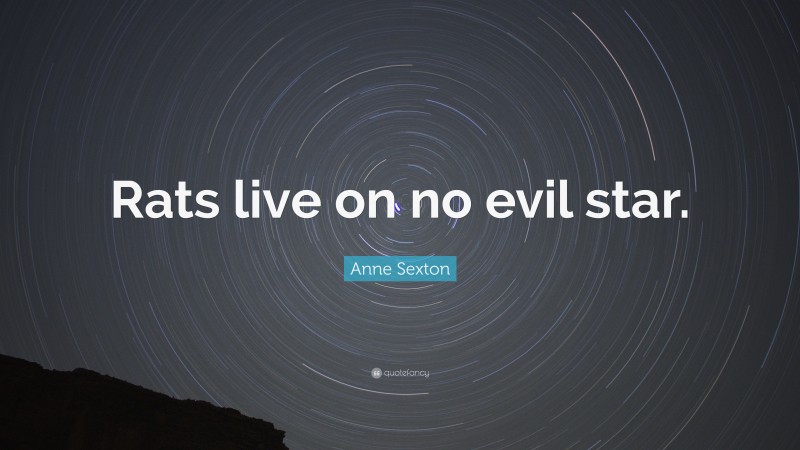 Anne Sexton Quote: “Rats live on no evil star.”