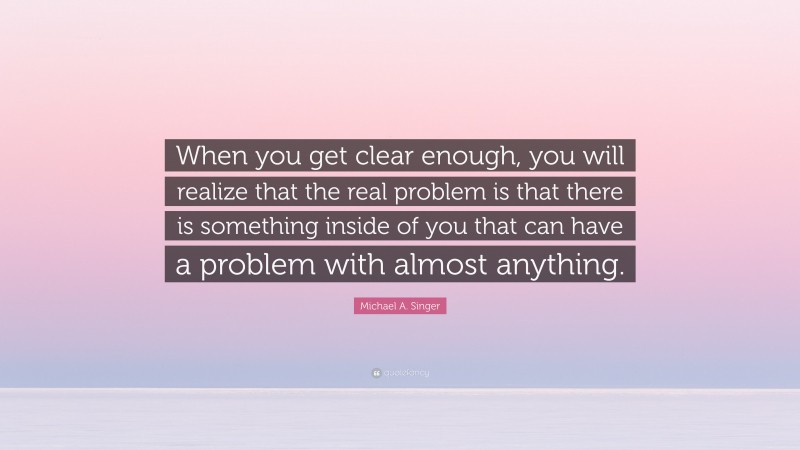 Michael A. Singer Quote: “When you get clear enough, you will realize that the real problem is that there is something inside of you that can have a problem with almost anything.”