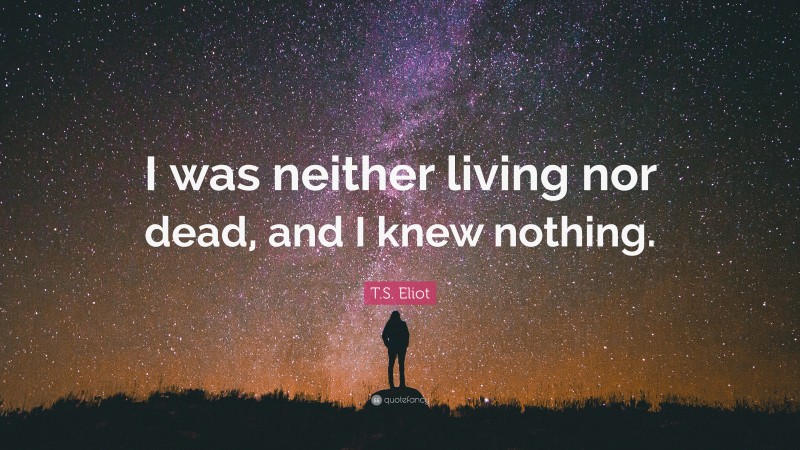 T.S. Eliot Quote: “I was neither living nor dead, and I knew nothing.”
