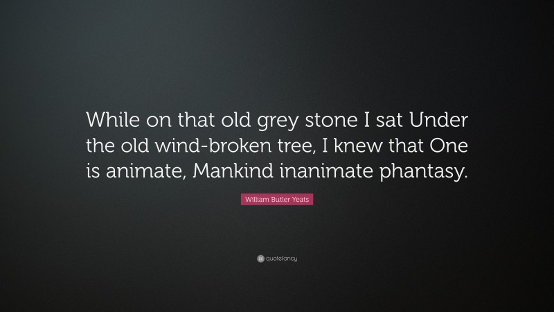 William Butler Yeats Quote: “While on that old grey stone I sat Under the old wind-broken tree, I knew that One is animate, Mankind inanimate phantasy.”