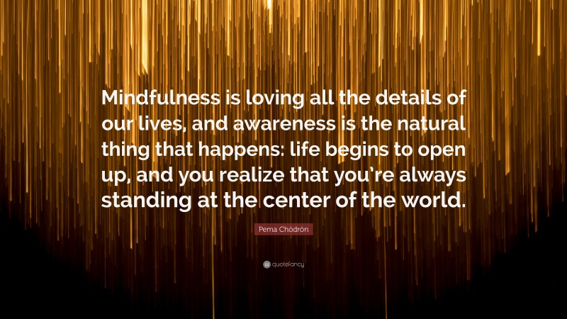 Pema Chödrön Quote: “Mindfulness is loving all the details of our lives, and awareness is the natural thing that happens: life begins to open up, and you realize that you’re always standing at the center of the world.”