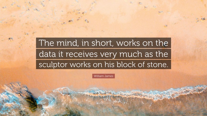 William James Quote: “The mind, in short, works on the data it receives very much as the sculptor works on his block of stone.”
