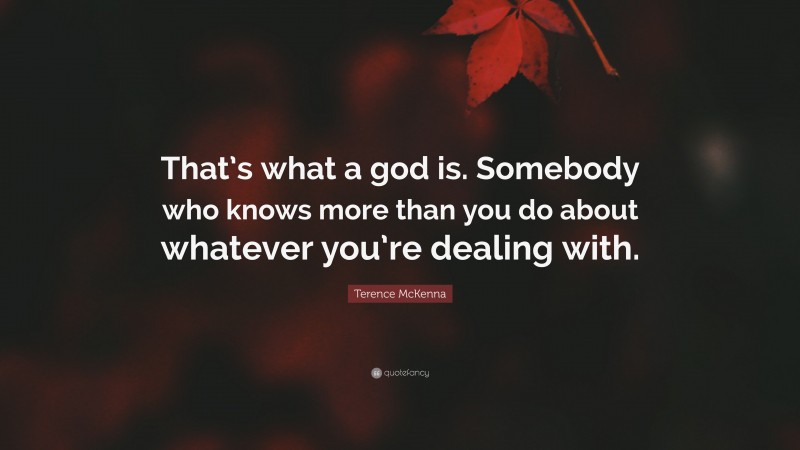 Terence McKenna Quote: “That’s what a god is. Somebody who knows more than you do about whatever you’re dealing with.”