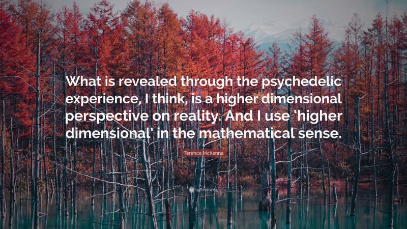 Terence McKenna Quote: “What is revealed through the psychedelic experience, I think, is a higher dimensional perspective on reality. And I use ‘higher dimensional’ in the mathematical sense.”