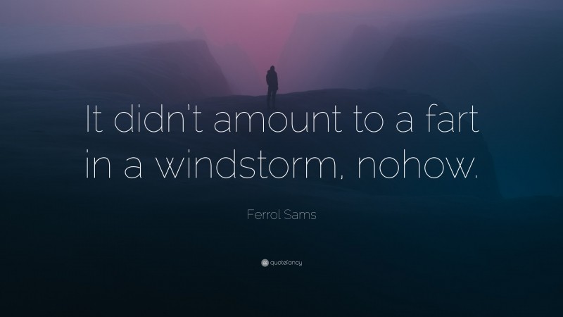 Ferrol Sams Quote: “It didn’t amount to a fart in a windstorm, nohow.”
