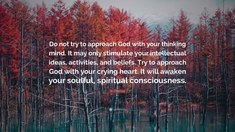 Sri Chinmoy Quote: “Do not try to approach God with your thinking mind. It may only stimulate your intellectual ideas, activities, and beliefs. Try to approach God with your crying heart. It will awaken your soulful, spiritual consciousness.”
