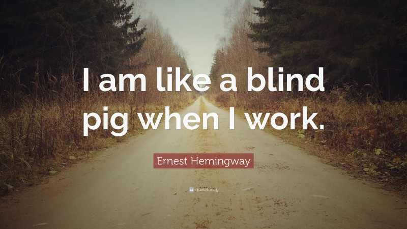 Ernest Hemingway Quote: “I am like a blind pig when I work.”