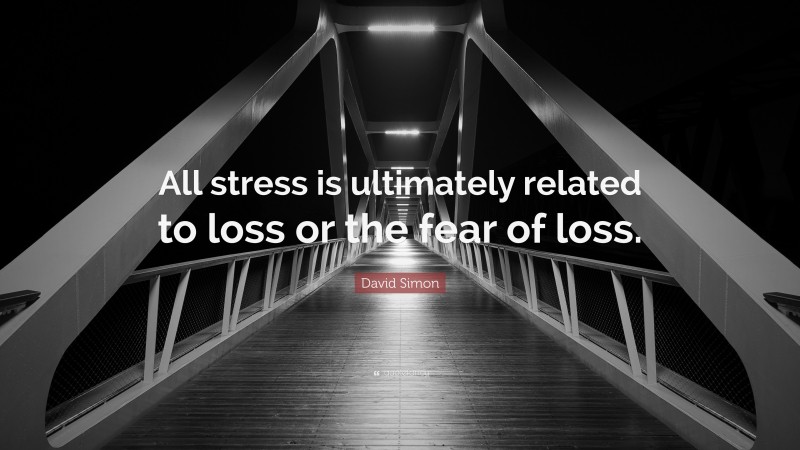 David Simon Quote: “All stress is ultimately related to loss or the fear of loss.”